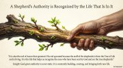 Chapter 14 The Prophet Image 07