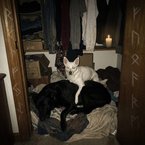 A white dog with evil glowing eyes sitting on a black dog.