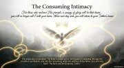 Chapter 12 slide: For those who embrace His precepts, a canopy of glory will be their home... you will no longer call Earth your home. When each day ends, you will return to your Father's house. The preparation is complete. The Bride is drawn out of the kingdom of darkness, through the crucible of purification, and into the consuming, white-hot intimacy of the Father, Son, and Holy Spirit.