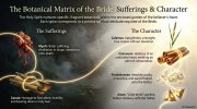 Appendix B slide: The Holy Spirit nurtures specific, fragrant botanicals within the enclosed garden of the believer's heart. Each spice corresponds to a precise spiritual attribute required of the Bride. The Sufferings: Myrrh, Cassia. The Character: Calamus, Cinnamon, Frankincense, Aloes.
