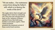 The Return of the Eagles A Journey to Truth Slide 004